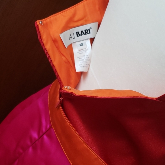 AJ Bari Vintage Colorblock Gown - Picture 9 of 11